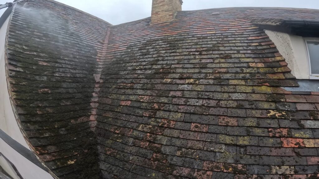 Roof Cleaning and Moss Removal​
