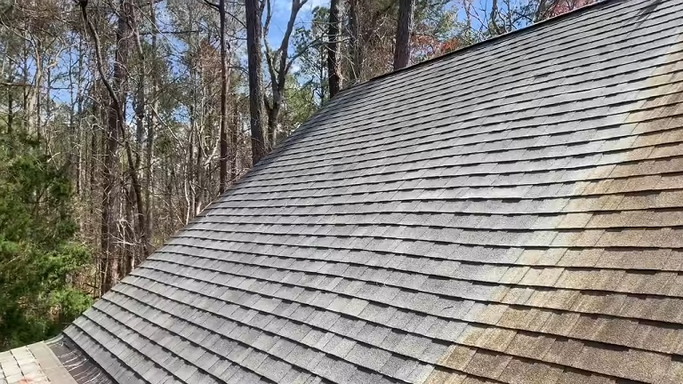 Soft Wash Pressure Cleaning​