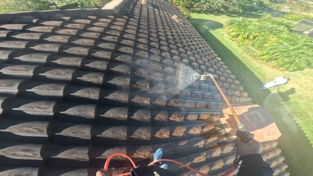 Soft Wash Roof Cleaning​